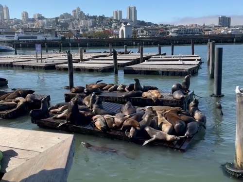 Pier 39 em San Francisco