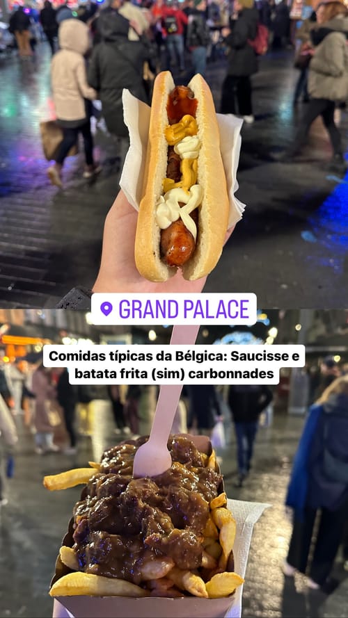 Comidas típicas da Bélgica: Saucisse e batata frita (sim) carbonnades