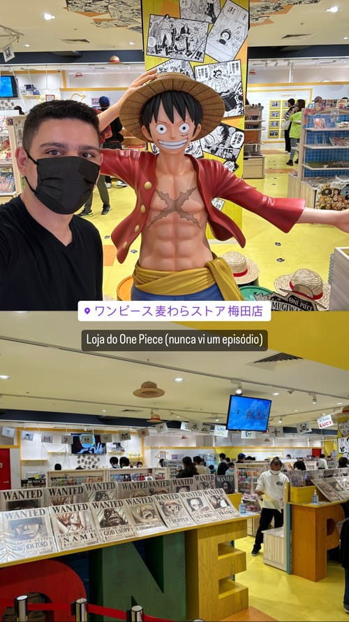 One Piece Store (I've never seen an episode)