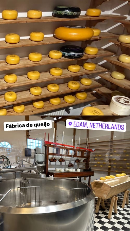 Fábrica de queijo