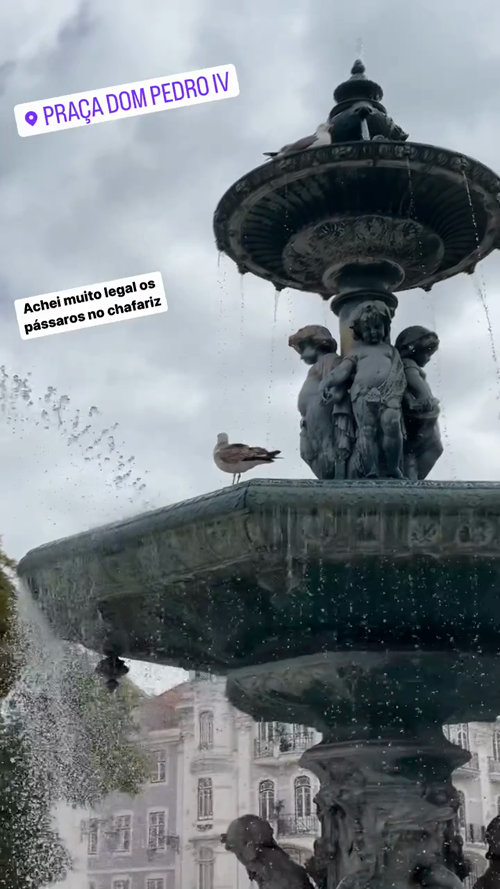 I thought the birds in the fountain were really cool