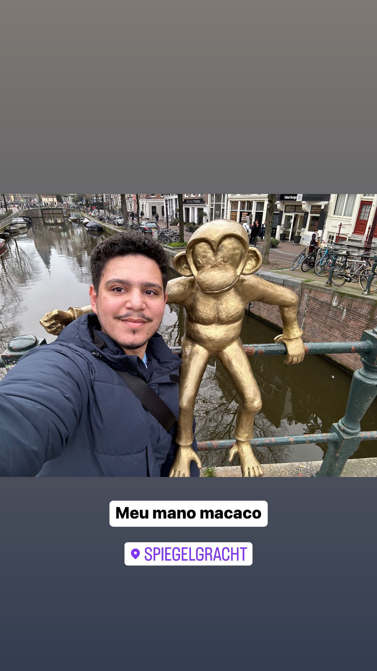 Meu mano macaco