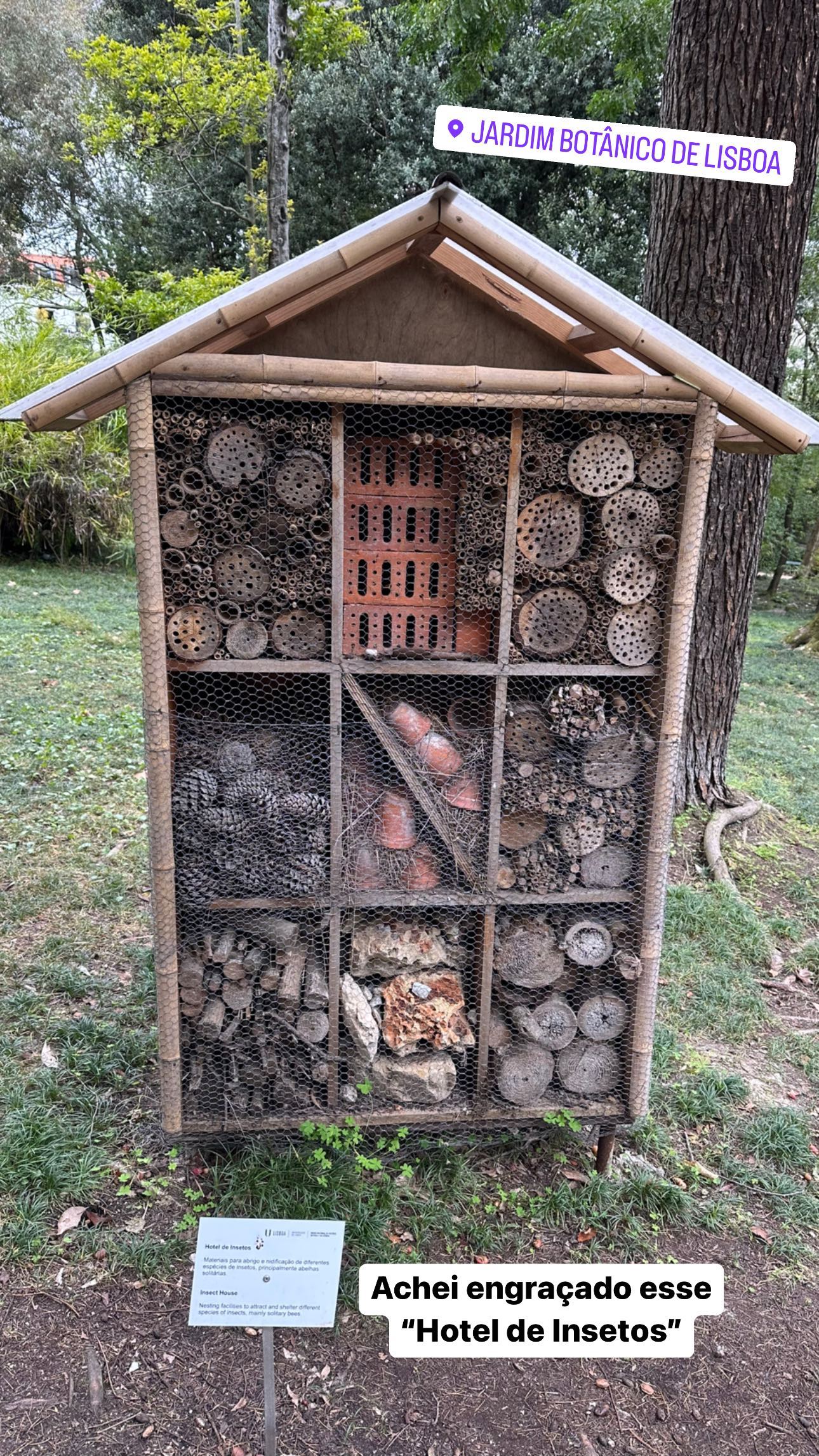 I thought this "Insect Hotel" was funny