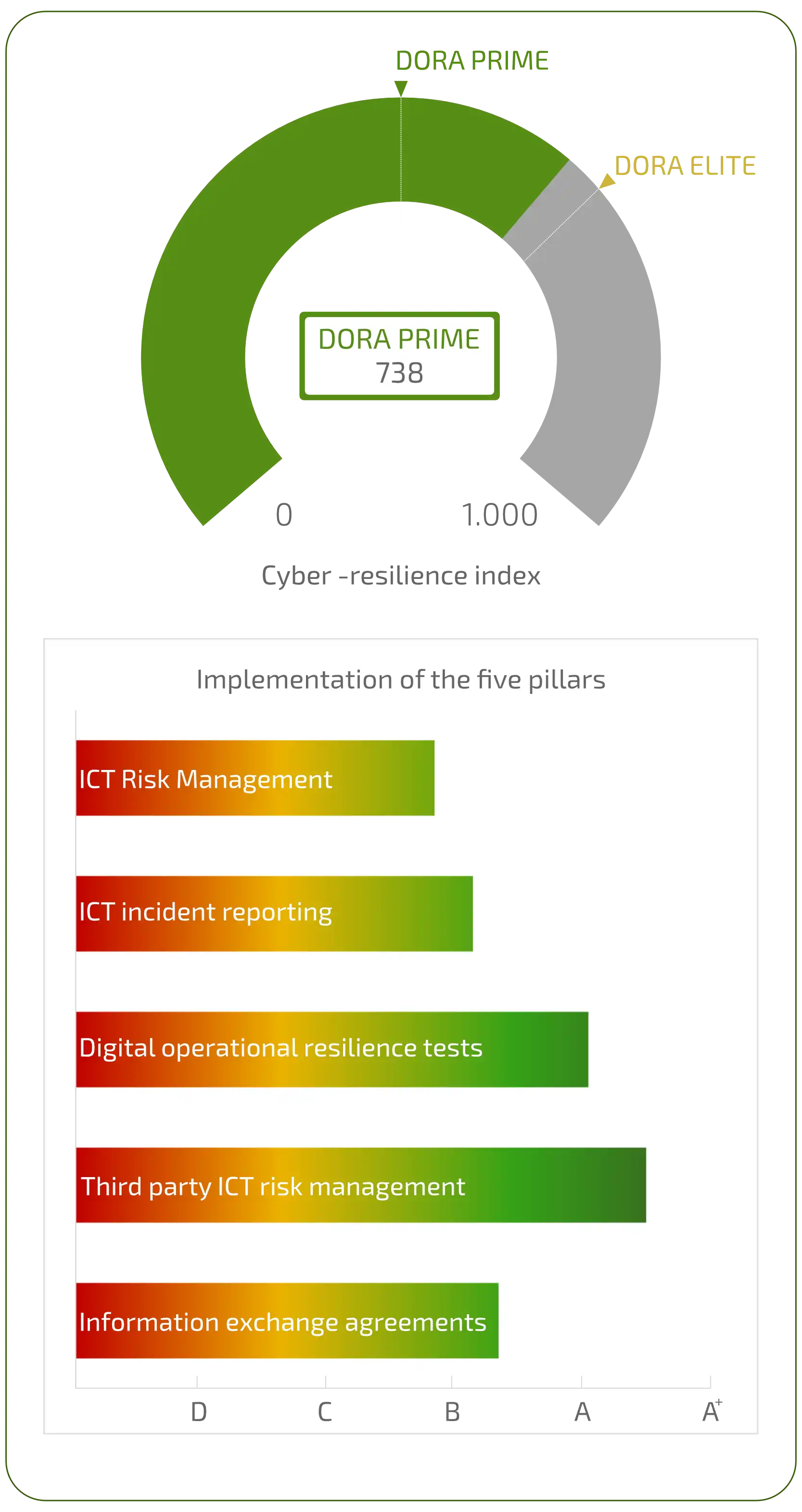 graphs of the reports delivered with DORA Passport