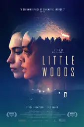 Movie poster of Little Woods