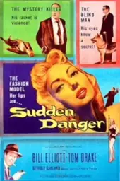 Movie poster of Sudden Danger