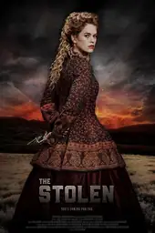 Movie poster of The Stolen