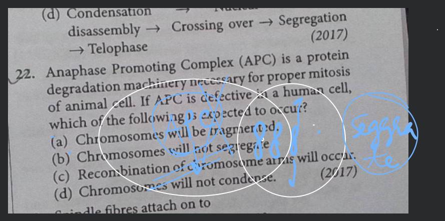 disassembly → Crossing over → Segregation → Telophase (2017) 22. Anaphase.. disassembly → Crossing over → Segregation → Telophase (2017) 22. Anaphase..