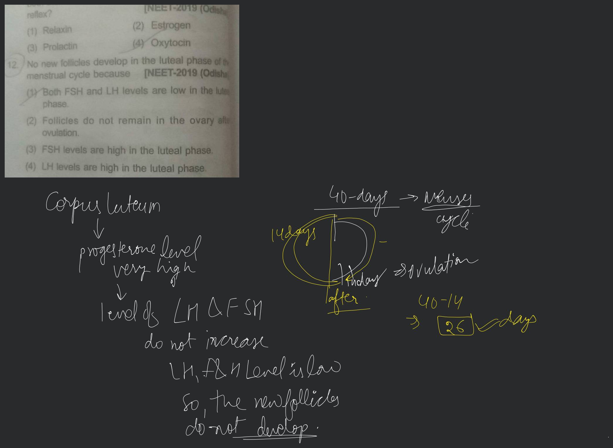 Corpus Luteum - NEET Biology Notes