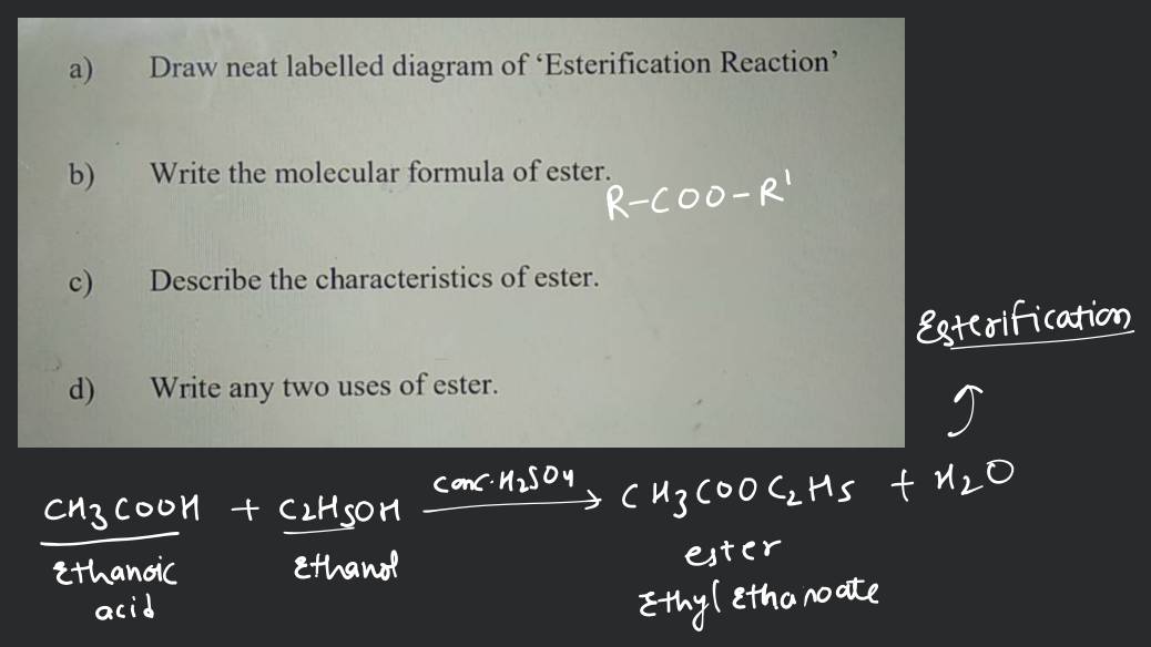 Draw a neat labelled diagram of human ear and name auditory part - Science  - Sound - 12376513 | Meritnation.com