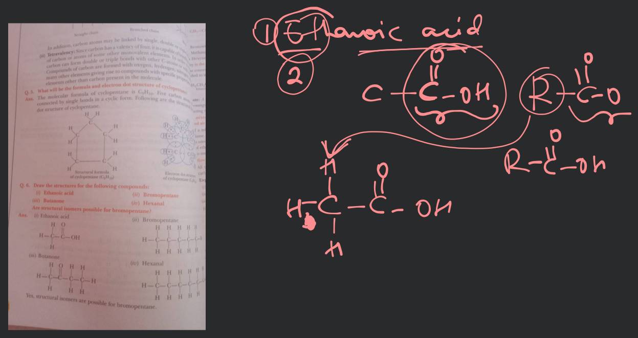 NCERT Solutions for Class 10 Science Chapter 4 Carbon and Its Compounds