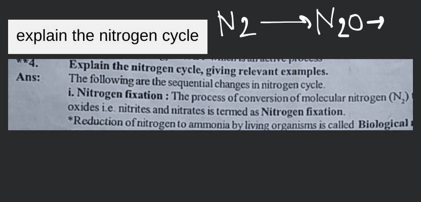 nitrogen examples