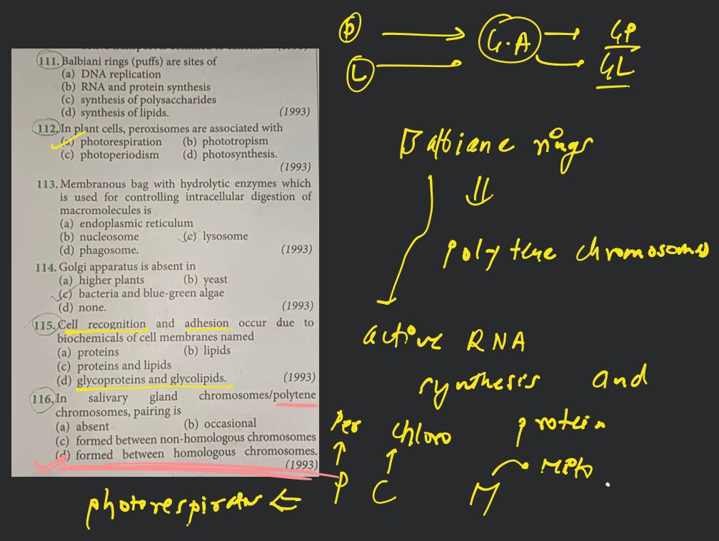 1. POLYTENE CHROMOSOMES