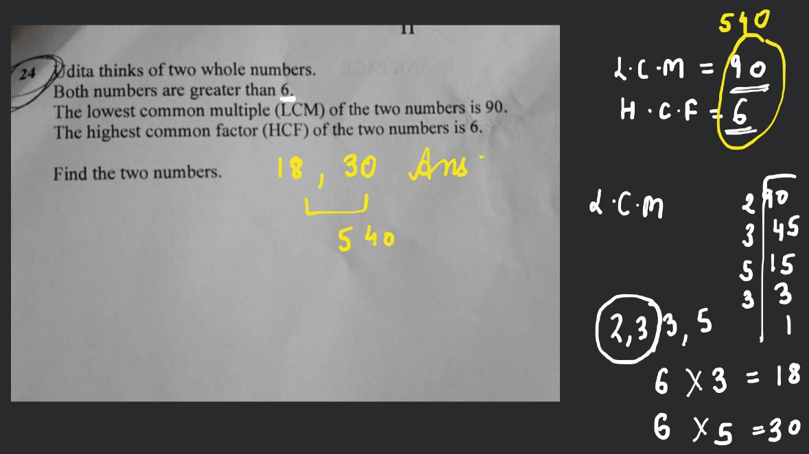 whole numbers whole numbers