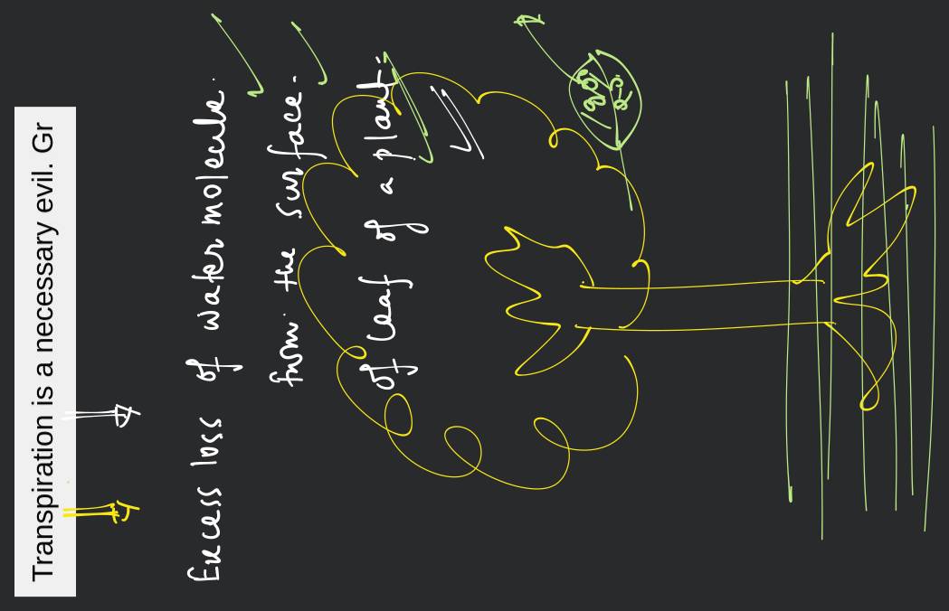 Transpiration Is A Necessary Evil Justify Filo