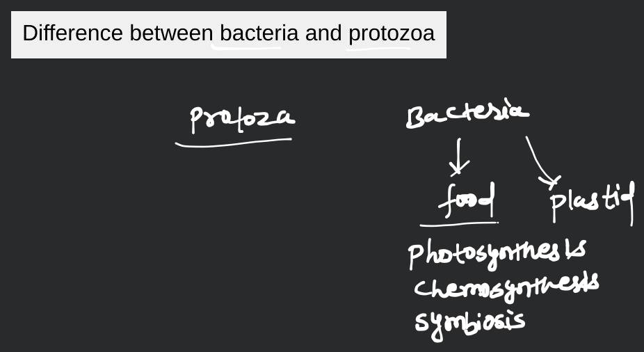 Difference between bacteria and protozoa | Filo