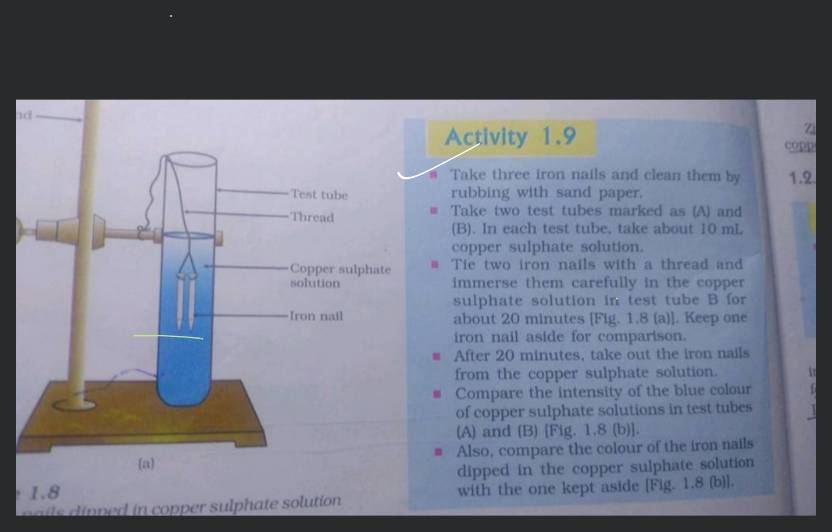 Iron nails are placed in copper sulphate solution ? write word equations of  the reaction involved - Brainly.in