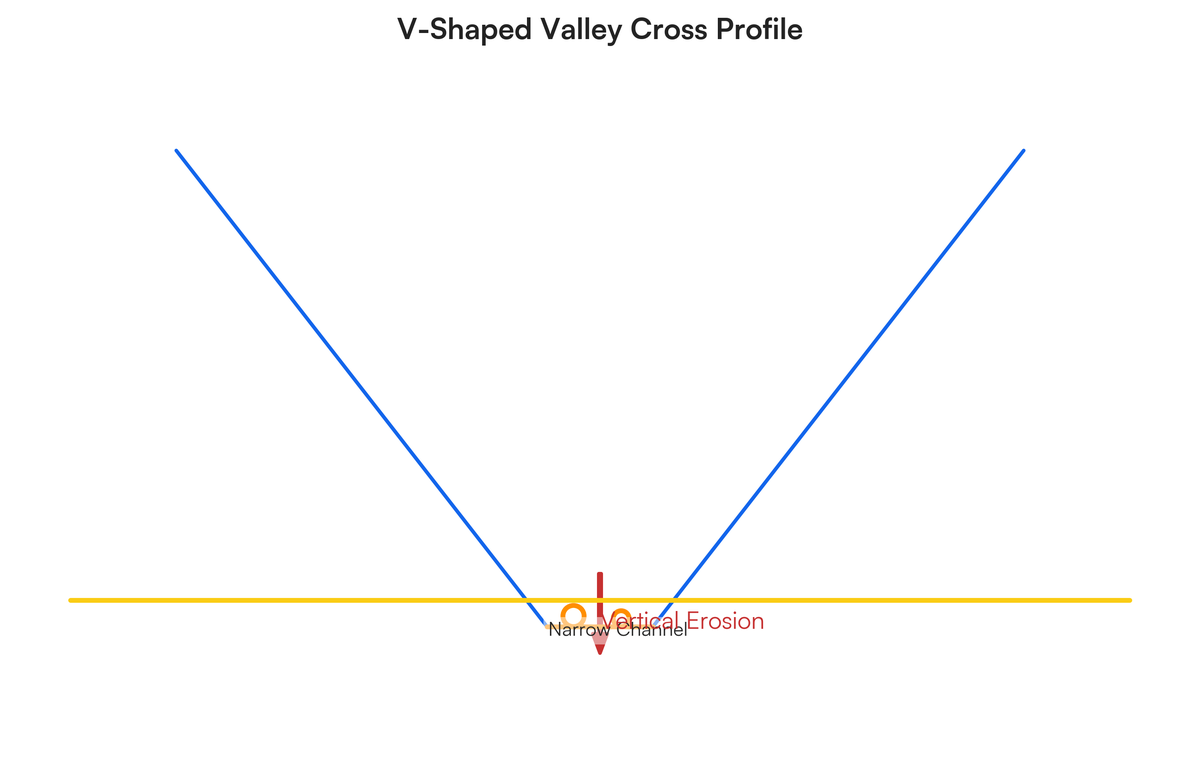 Differentiate between the fluvial processes that shaped the cross profile..