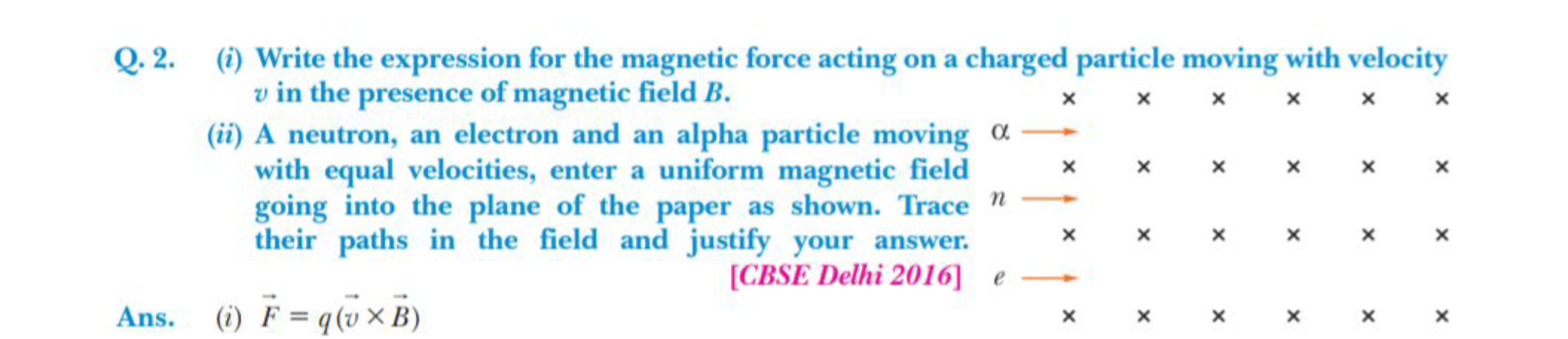 Q. 2. (i) Write the expression for the magnetic force acting on a char