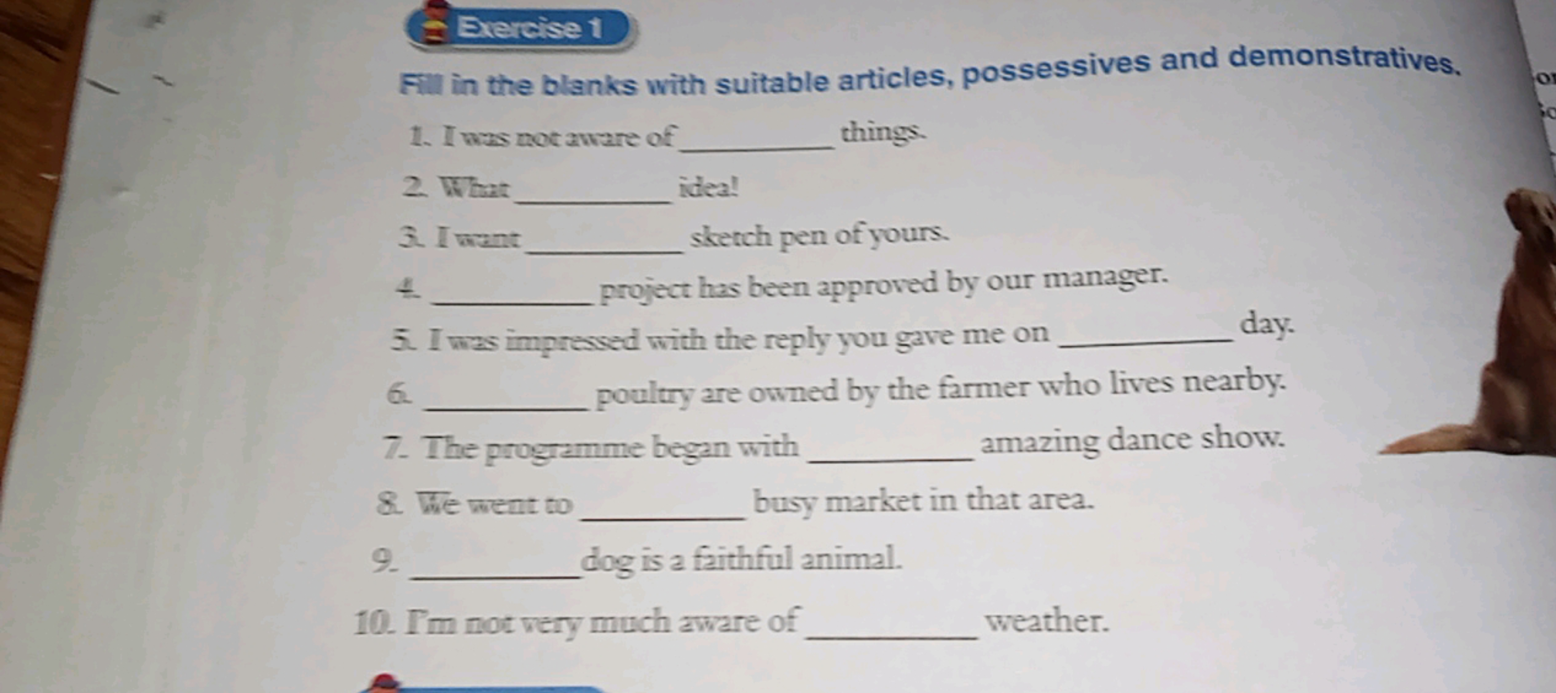 Bxercise 1
Fill in the blanks with suitable articles, possessives and 