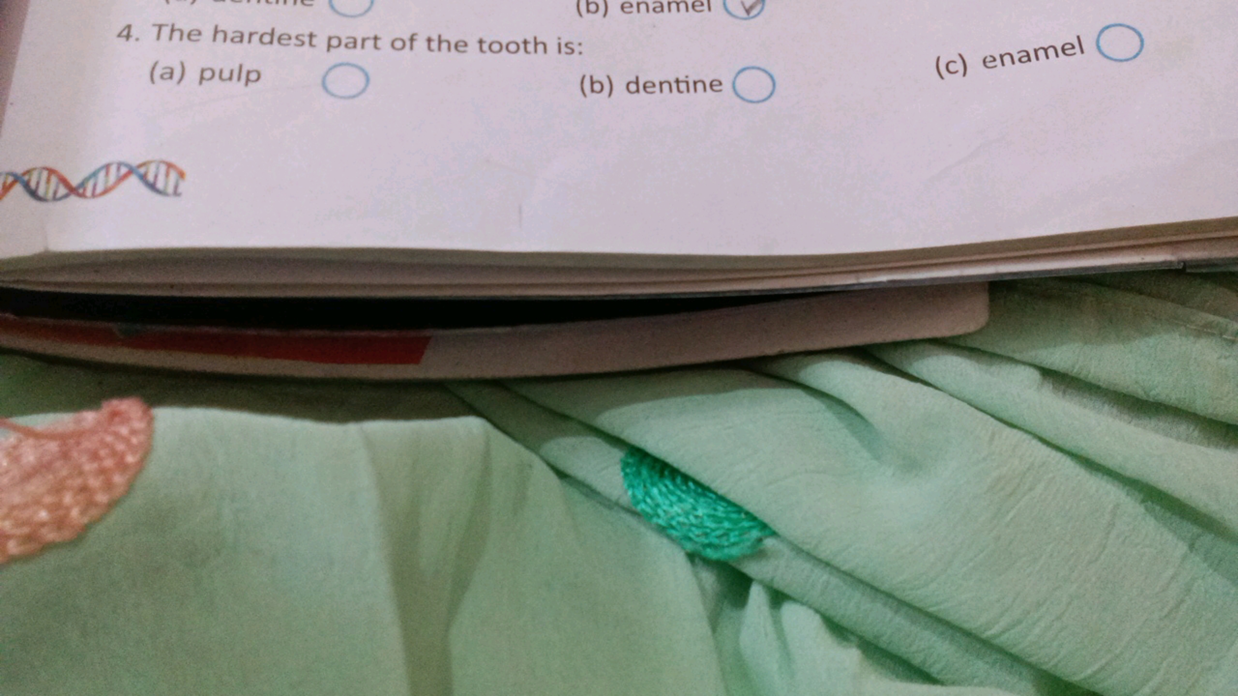 4. The hardest part of the tooth is:
(a) pulp
(b) dentine □
(c) enamel