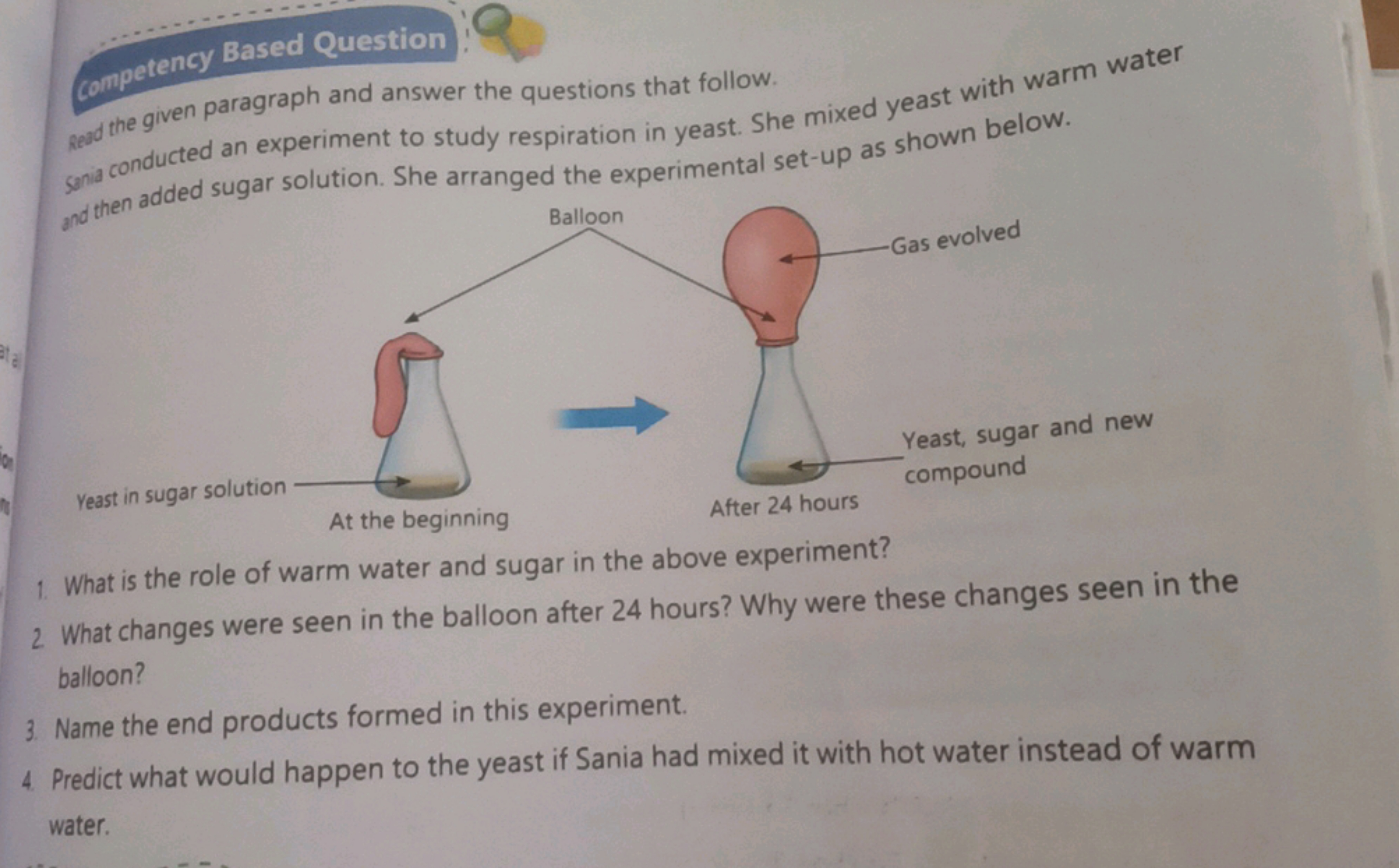 competency Based Question !
Revd the given paragraph and answer the qu