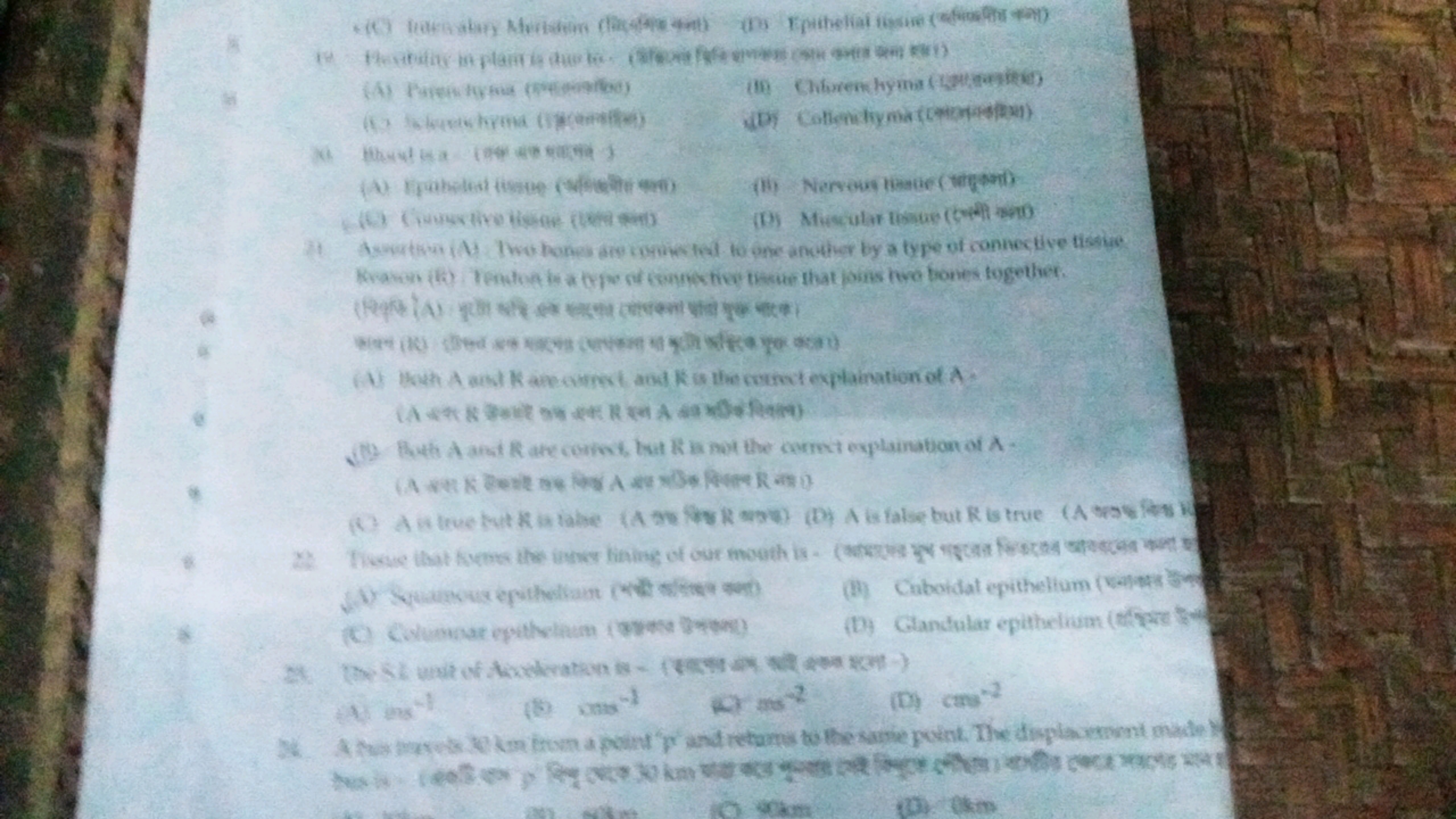 (C) tarsalary Merison (i) (Ds Epithelial tissue (
Flexibilay in plam i