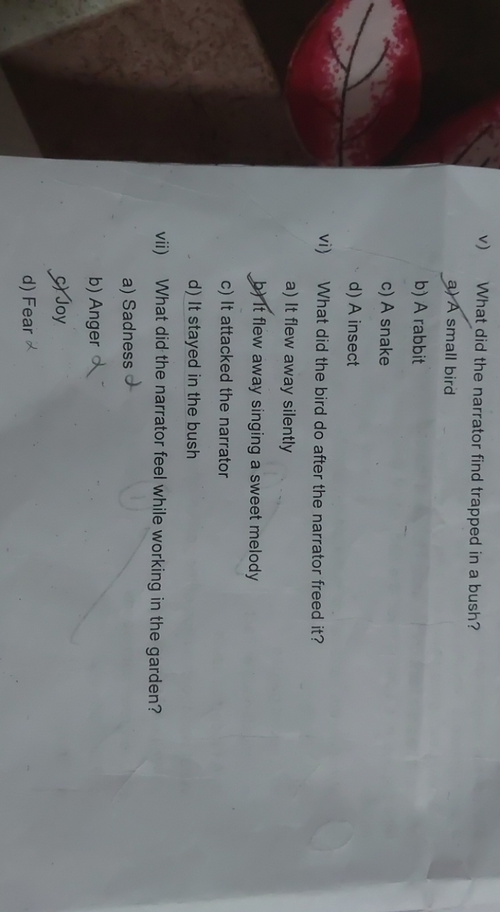 v) What did the narrator find trapped in a bush?
a) A small bird
b) A 