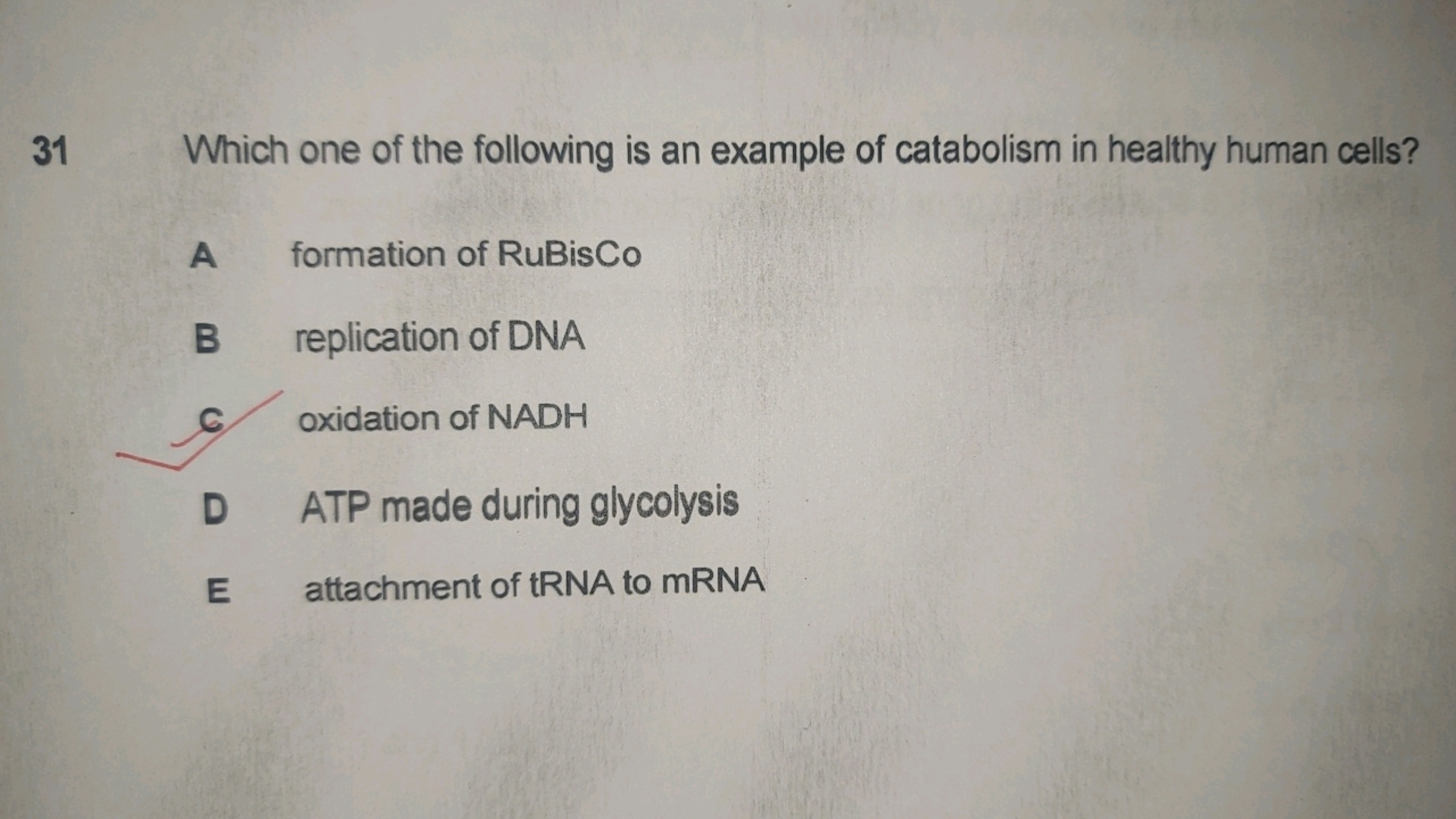 31 Which one of the following is an example of catabolism in healthy h