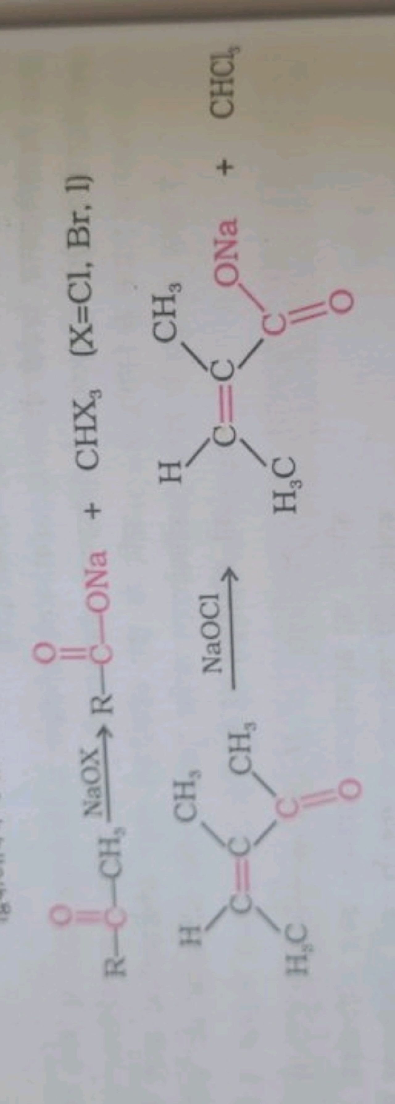 R−CH3​NaOX​R−CC​−ONa+CHX3​(X=Cl,Br,l)
CC=C(C)C(C)=O
NaOCl​
CC=C(C)C(=O