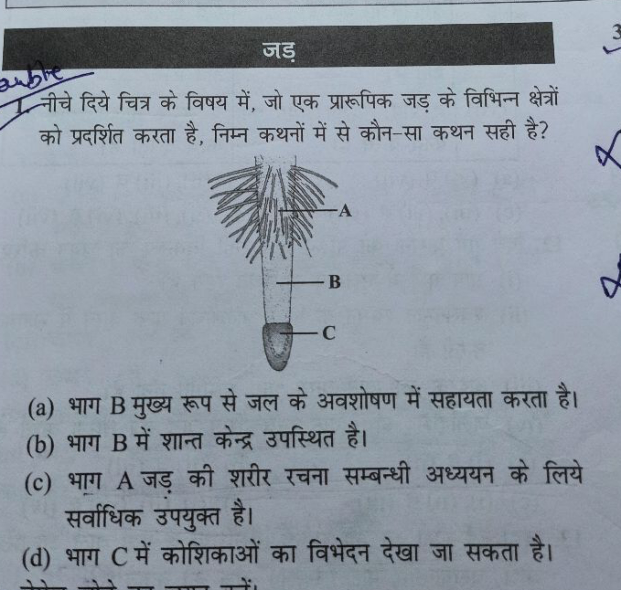 जड़
नीचे दिये चित्र के विषय में, जो एक प्रारूपिक जड़ के विभिन्न क्षेत्