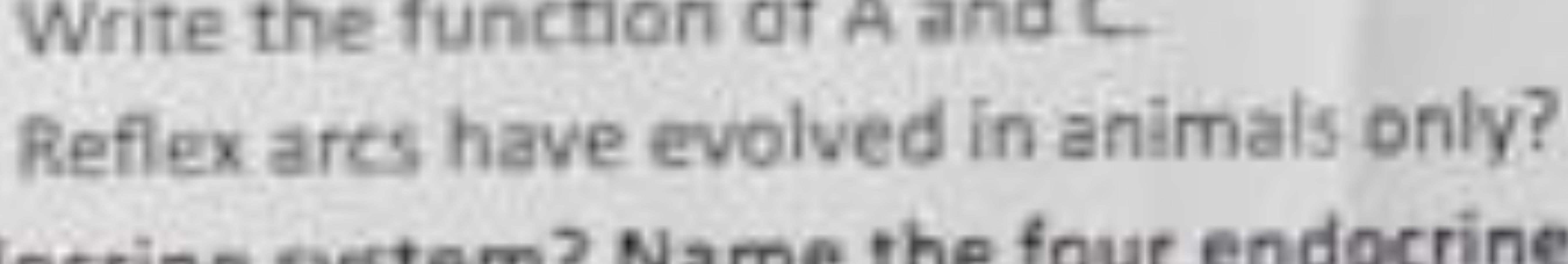 Reflex ares have evolved in animals only?