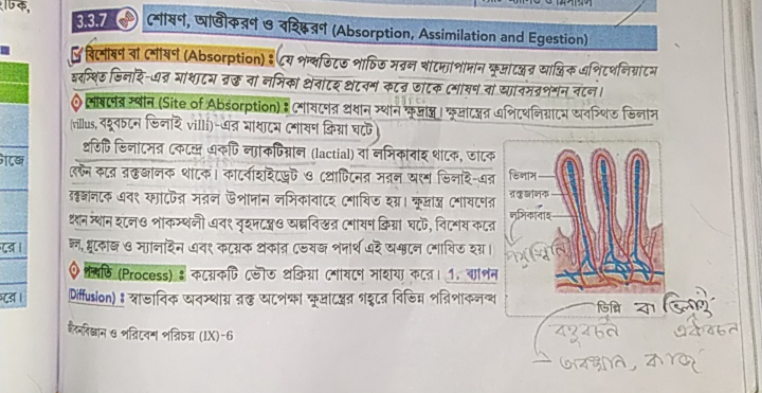 3.3.7 লোষণ, আাভীীকরণ ও বহিচরণ (Absorption, Assimilation and Egestion)