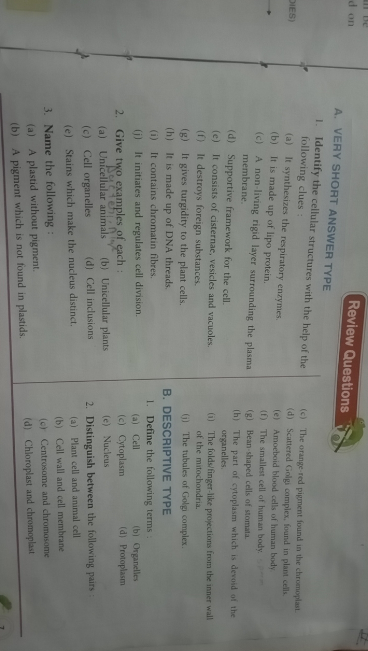 
Review QuestionsA. VERY SHORT ANSWER TYPE
1. Identify the cellular st