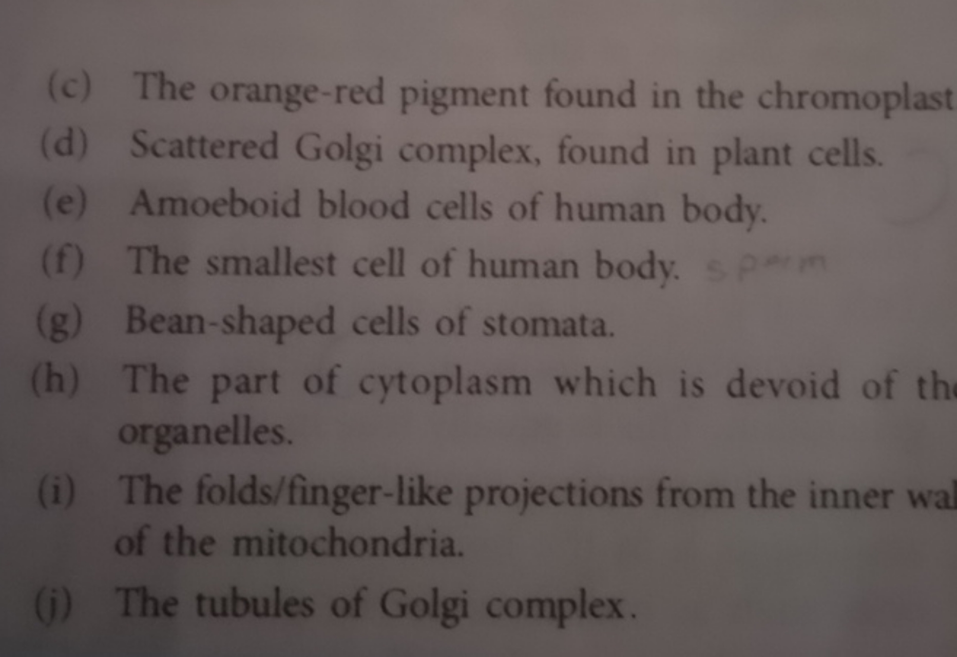 (c) The orange-red pigment found in the chromoplast
(d) Scattered Golg