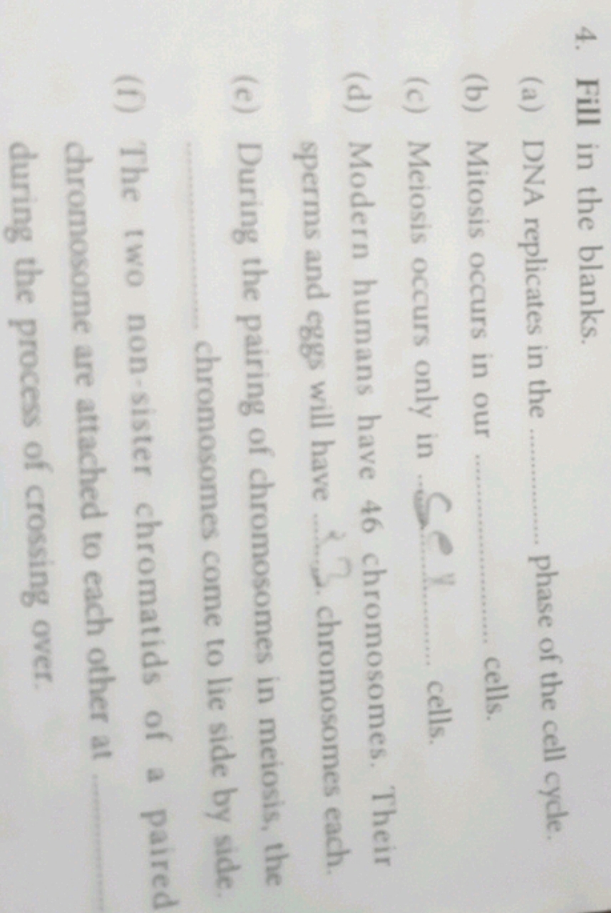 4. Fill in the blanks.
(a) DNA replicates in the  phase of the cell cy