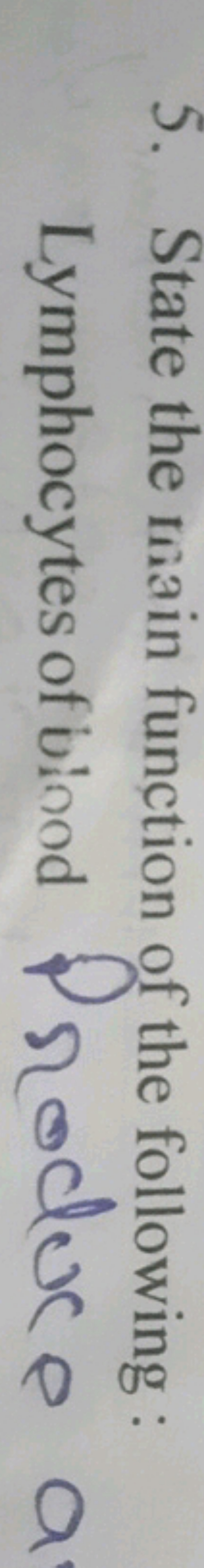 5. State the main function of the following : Lymphocytes of biood Pro