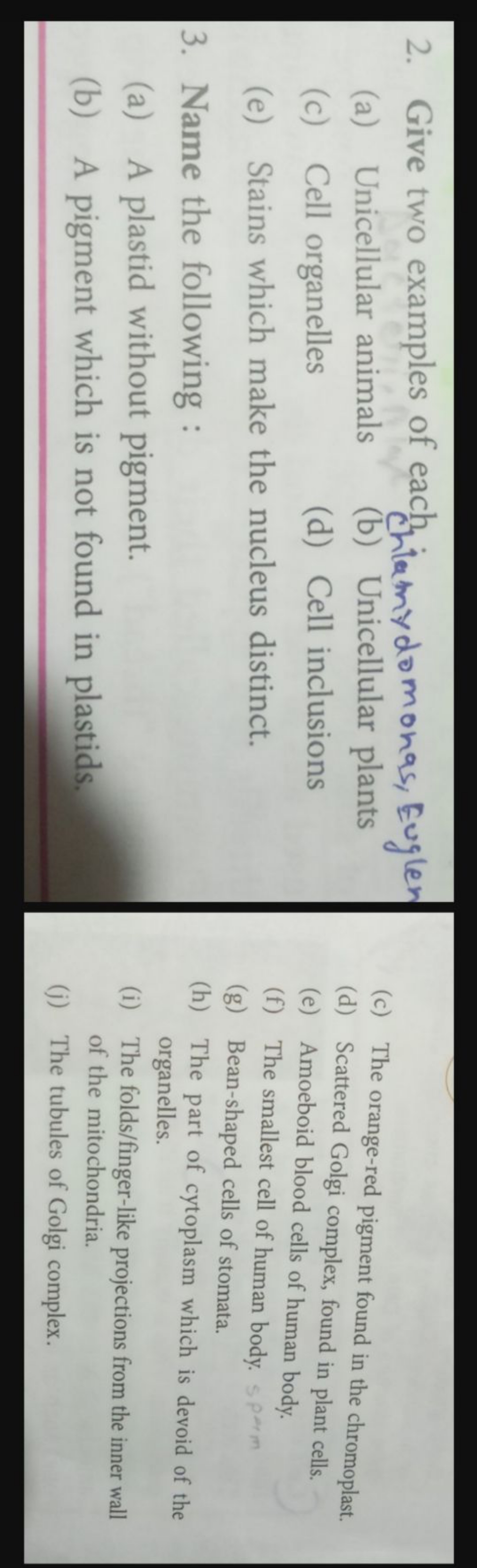 2. Give two examples of each chiamy domonas, Eugler
(a) Unicellular an