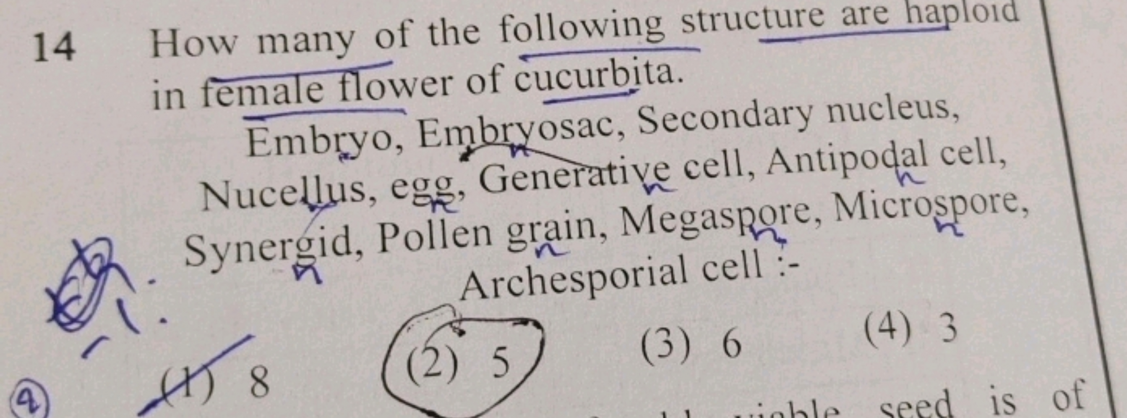 14 How many of the following structure are haploid in female flower of