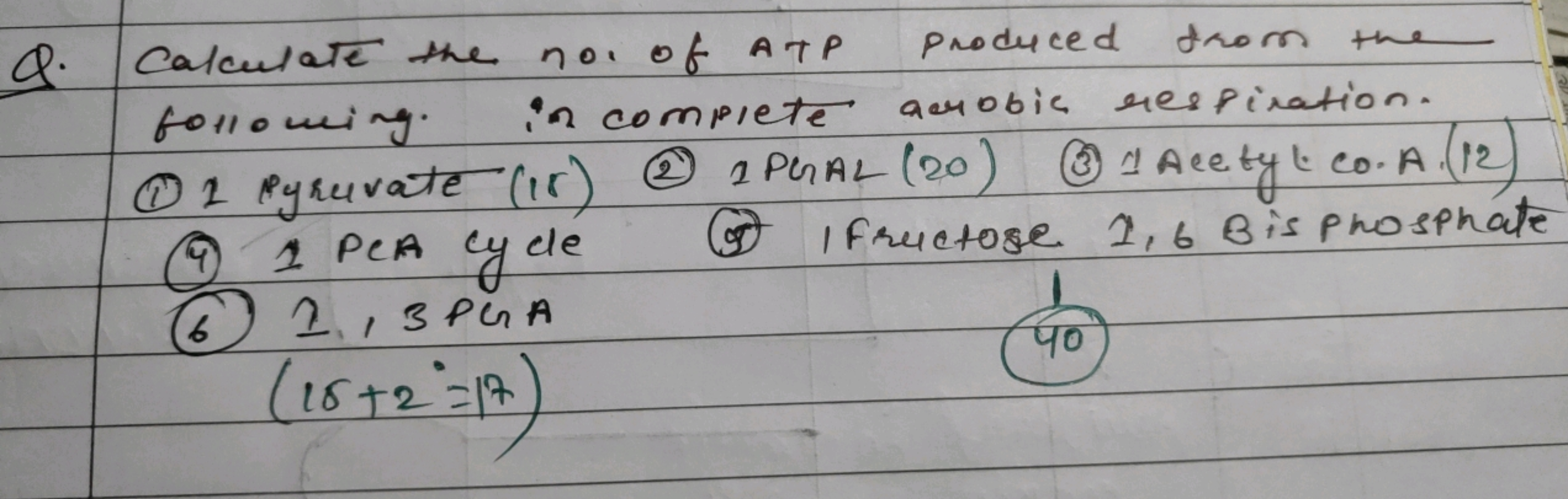 Q. Calculate the no. of ATP produced thom the following. in complete a