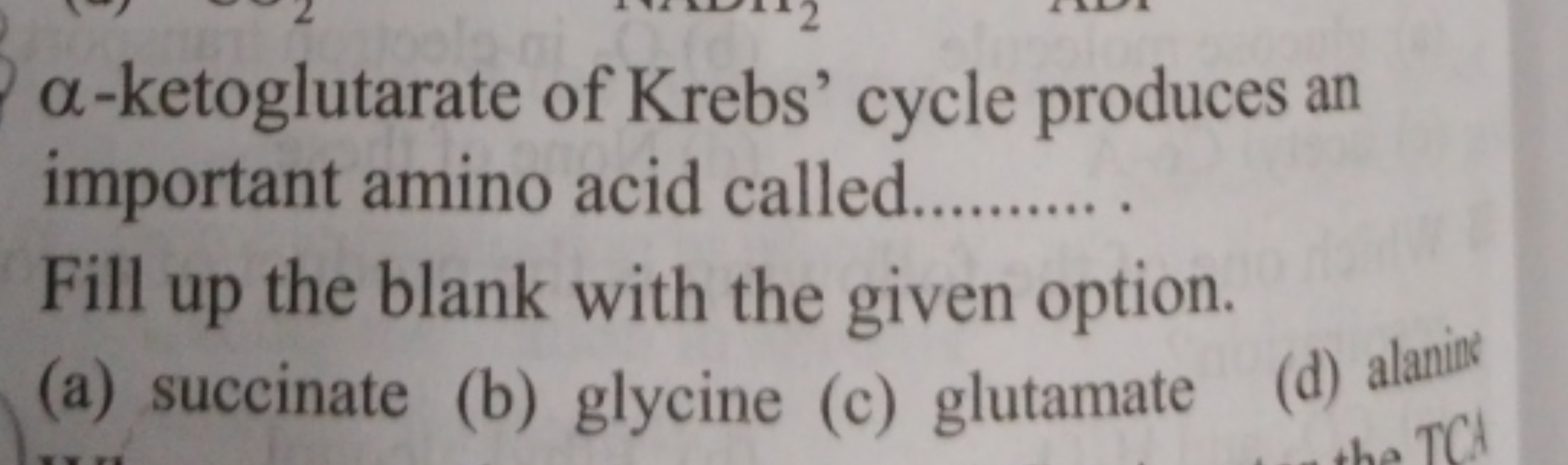 α-ketoglutarate of Krebs' cycle produces an important amino acid calle