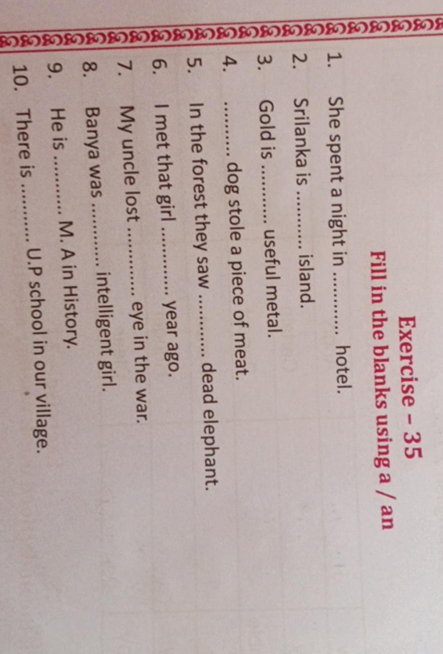 Exercise-35 Fill in the blanks using a / an
1. She spent a night in  h