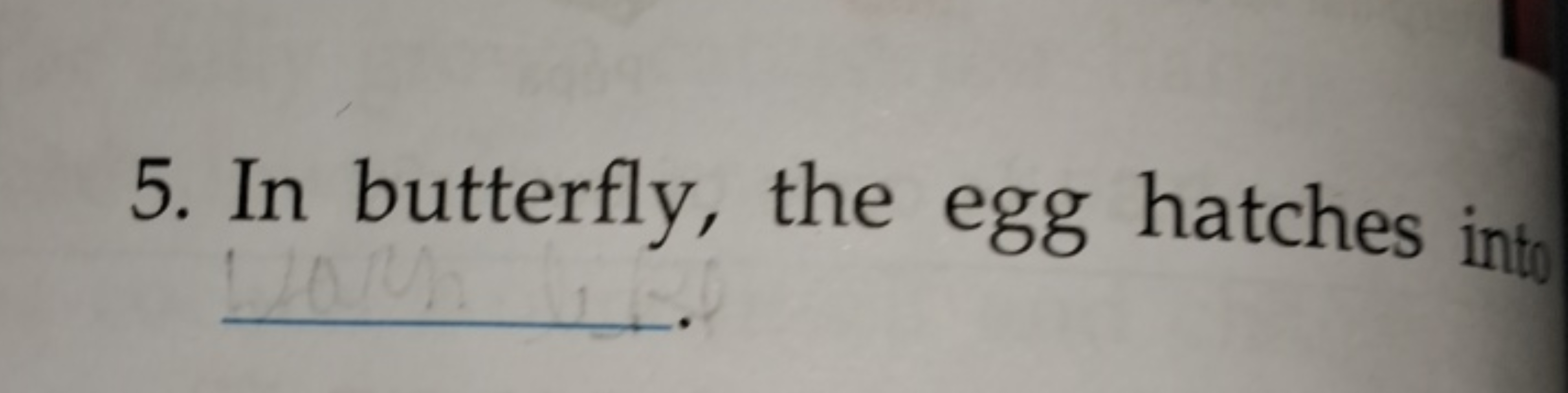 5. In butterfly, the egg hatches into 