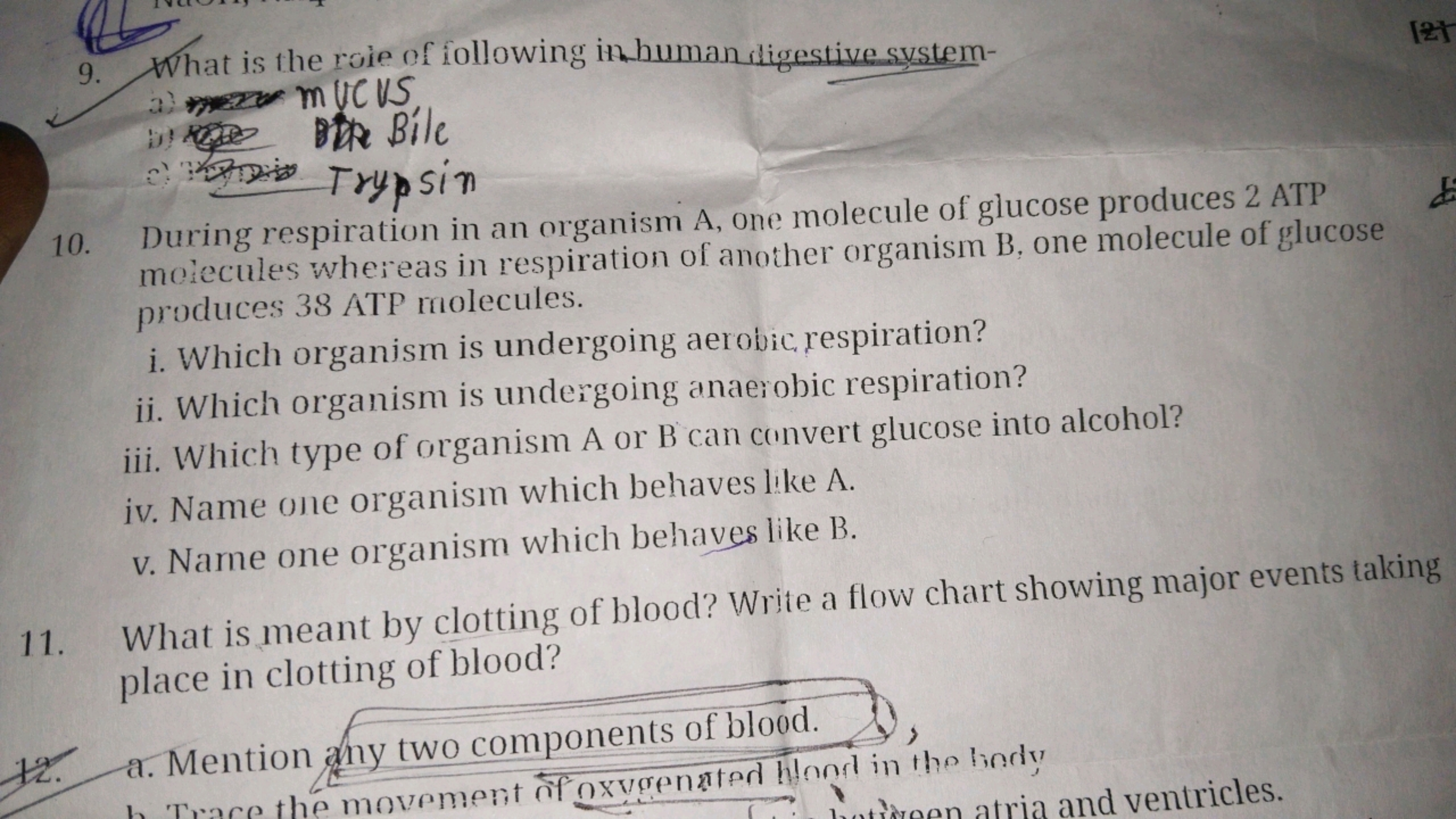 9. What is the role of following ithuman digestive system-
mUCVS,
Bobe