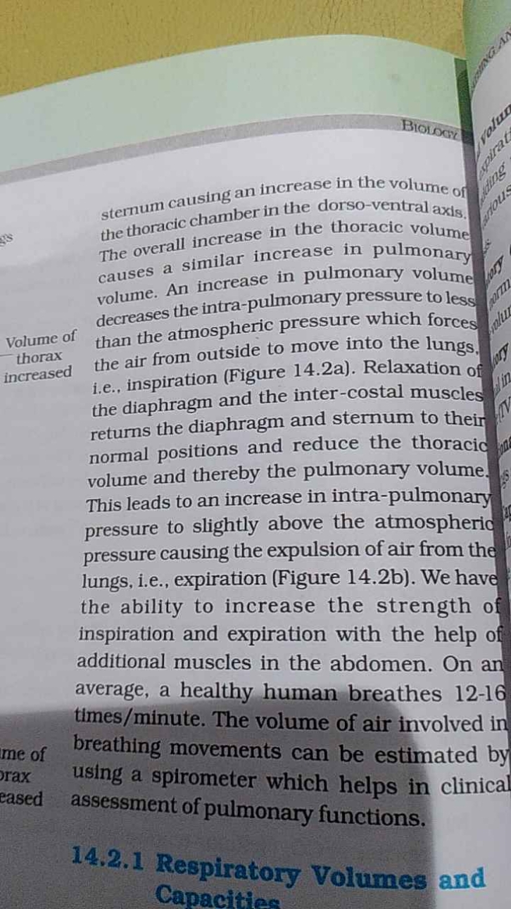 sternum causing an increase in the volume of the thoracic chamber in t