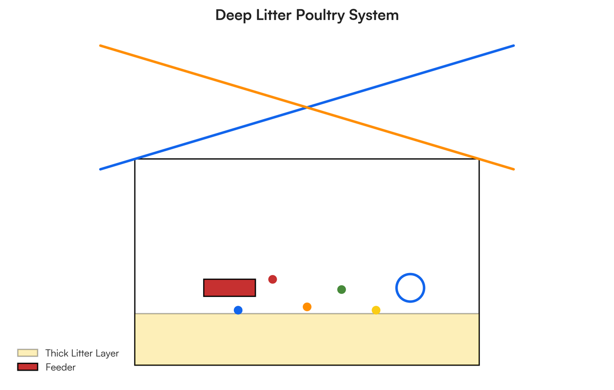 Draw the diagram illustrating deep litter system of keeping poultry | Filo