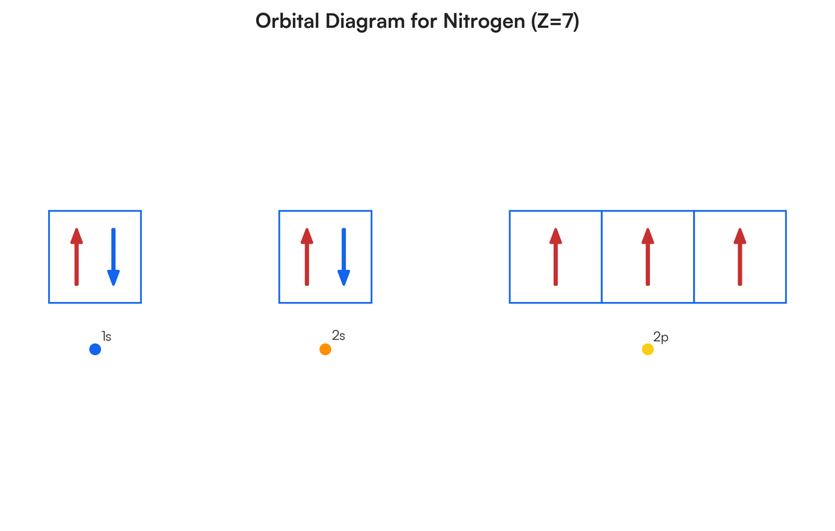 Show the application of Hund’s rule by sketching the orbital diagram for