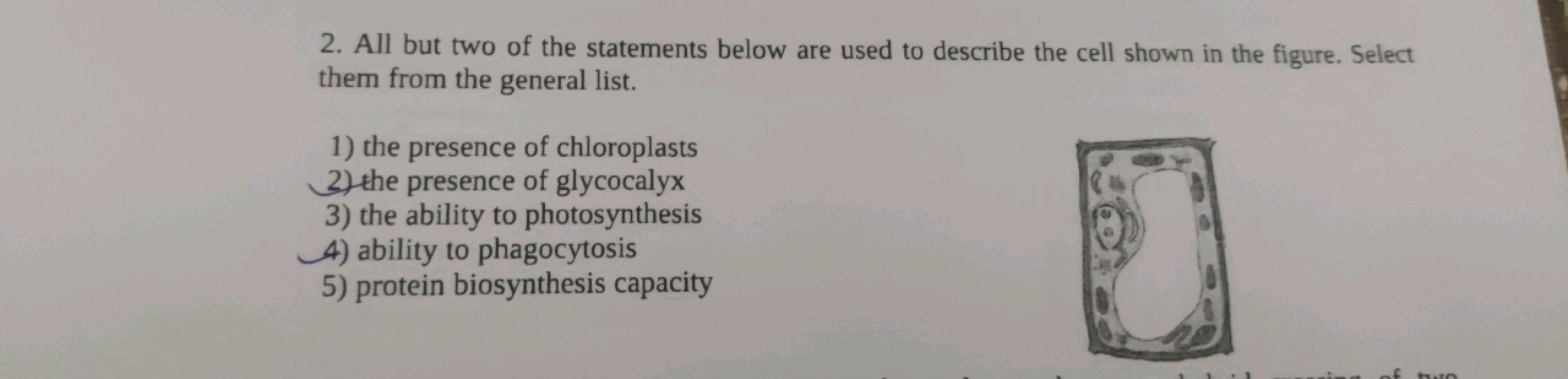 2. All but two of the statements below are used to describe the cell s