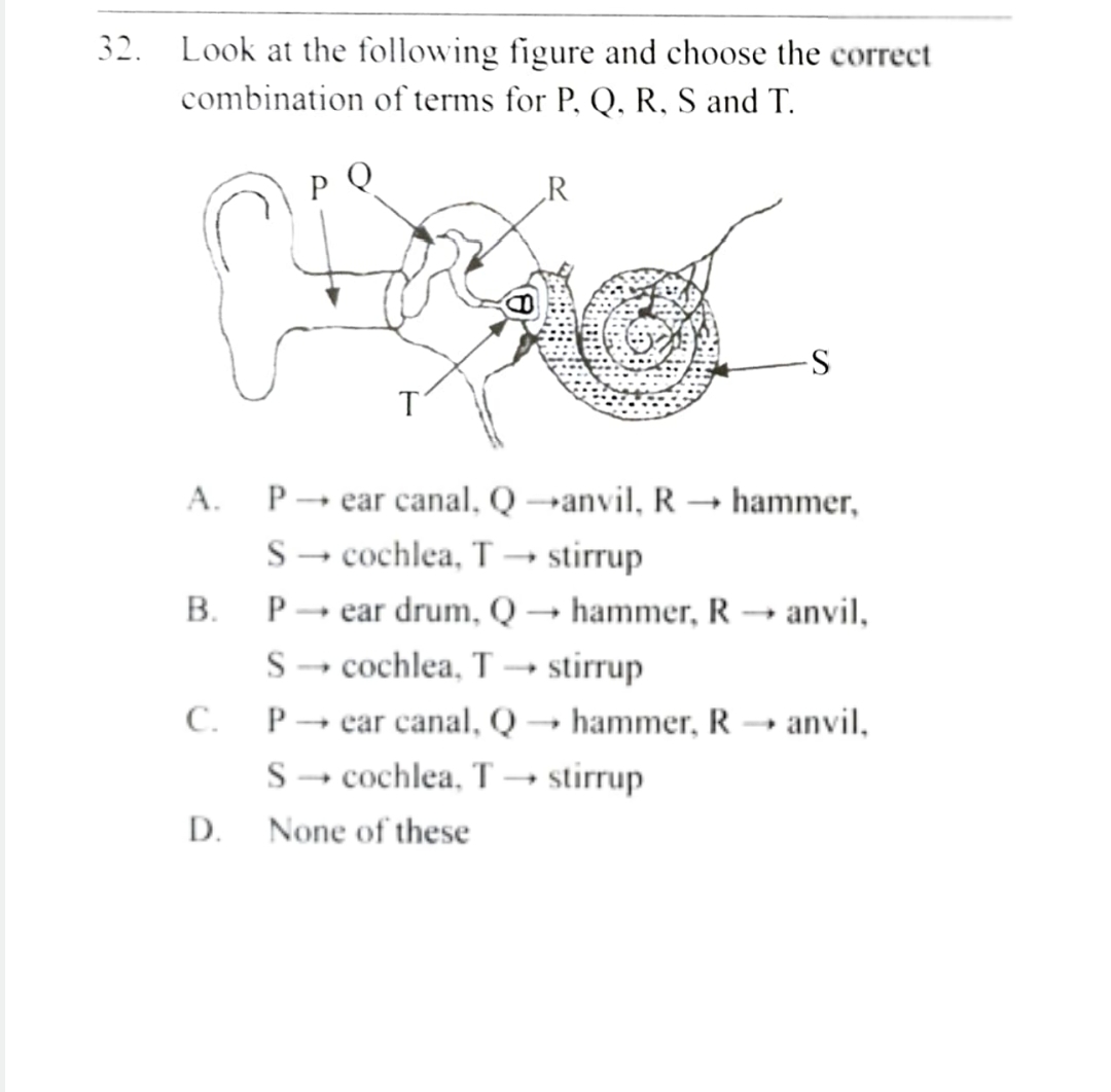 Look at the following figure and choose the correct combination of ter