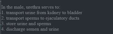 In the male, urethra serves to:
-1. transport urine from kidney to bla